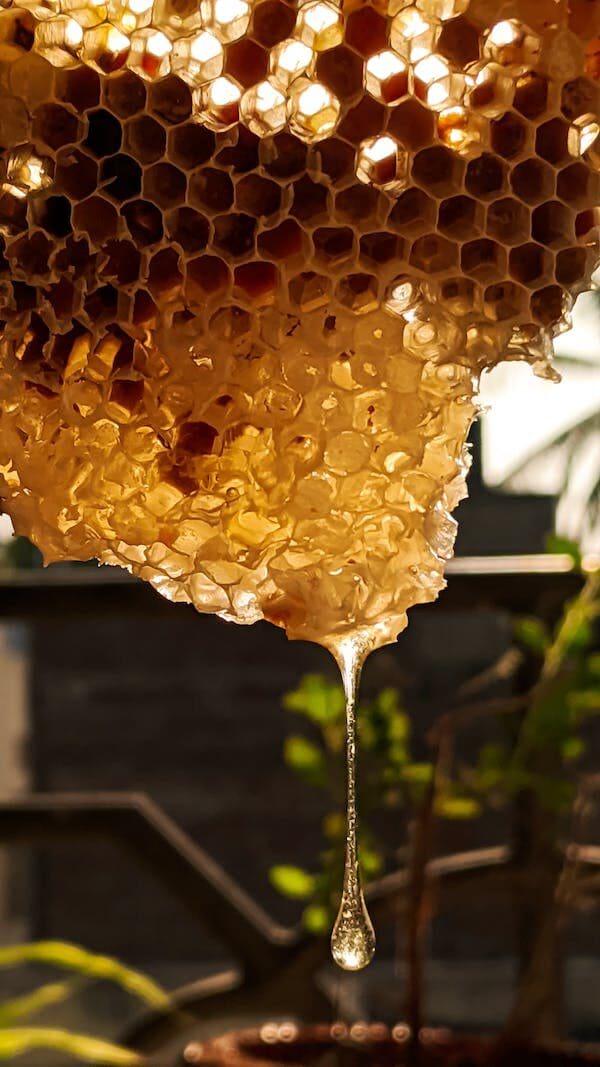 A close up of honey dripping from a honeycomb